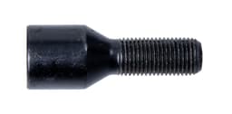 Torx Bolt Blk 12x1,25 L28 Kona 60 Ø20