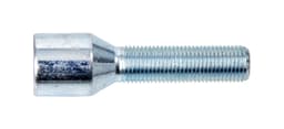 Torx Bult 12x1,25 L45 D Kona 20