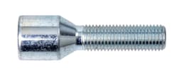 Torx Bult 12x1.50 x40mm DIA-20