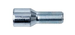 Torx Bult 14x1,50 L28 D Kona 20