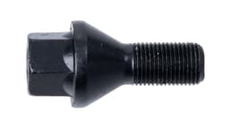 Bolt 16x1,5 Kona L29 (21Hex) Blk