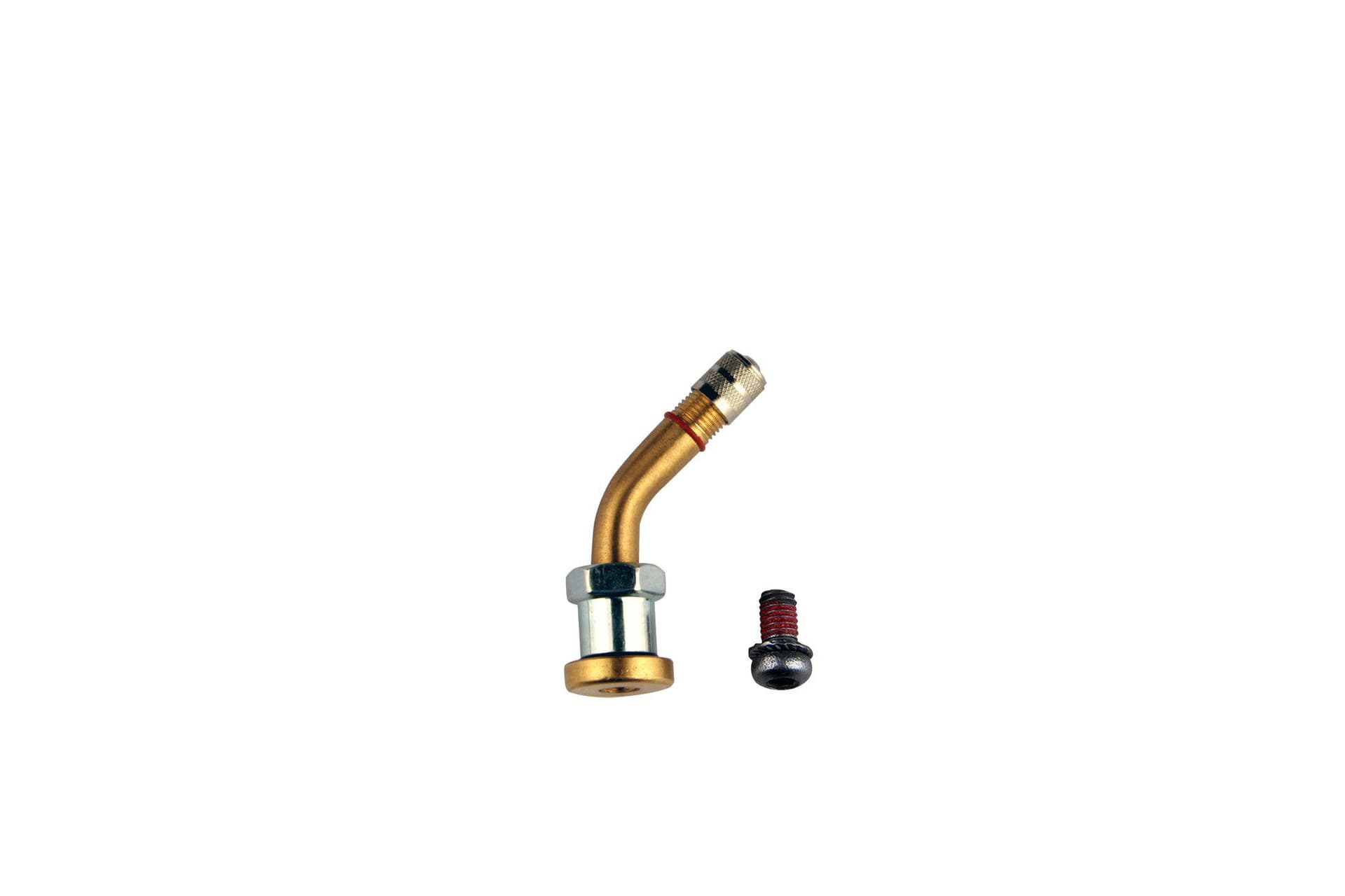 Spare valve tpms truck 93C (1pcs)
