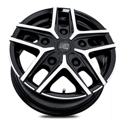 MSW 40 Van G.Blk/Pol