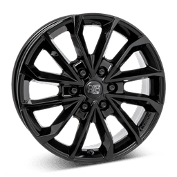 MSW 42 Van G.Blk