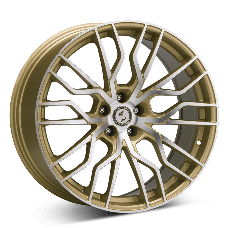 Eta Beta Medusa M.Gold/Pol