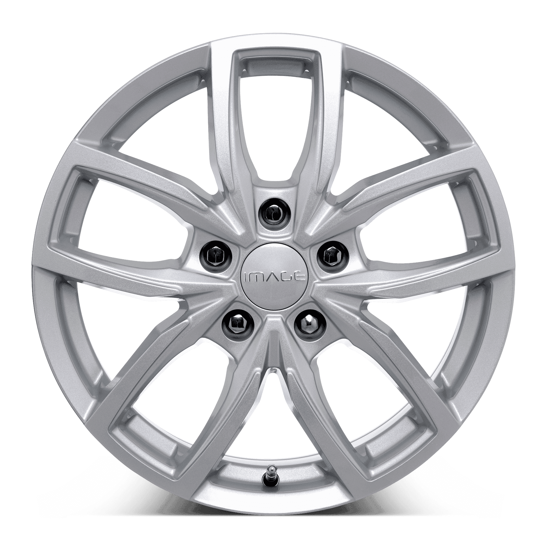 Image Vector Slv