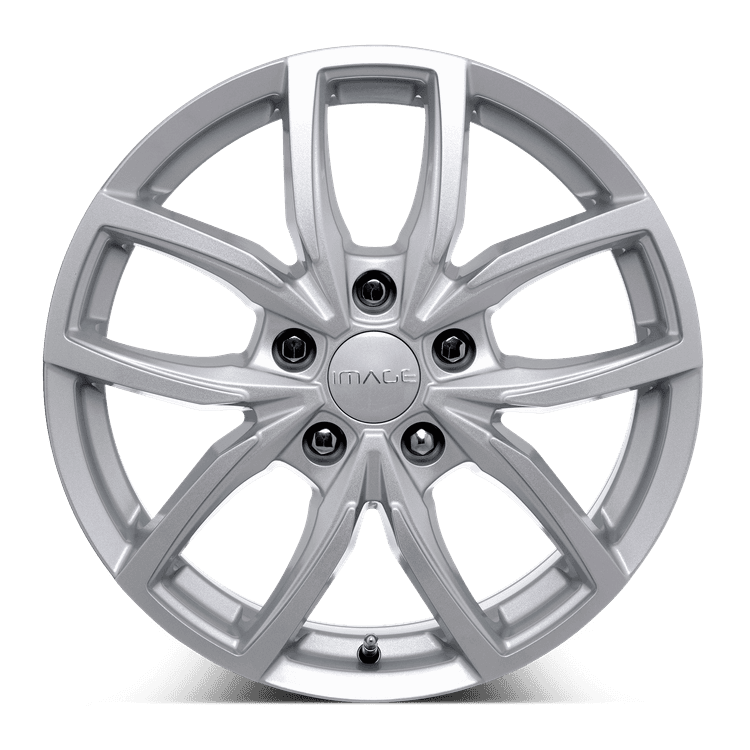 Image Vector Slv