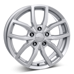 Image Vector Slv
