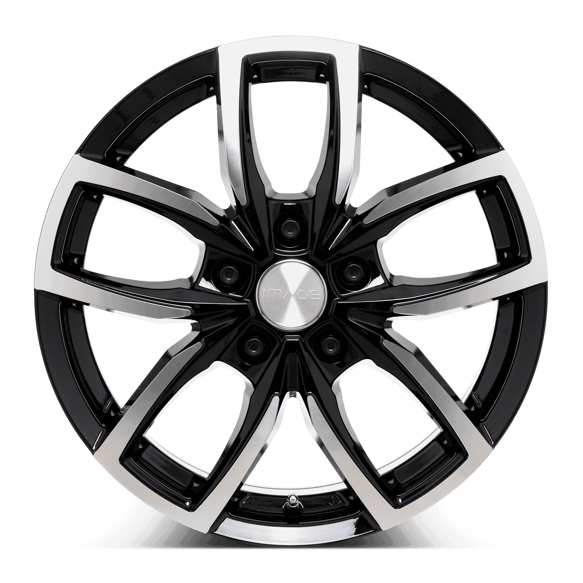 Image Vector Blk/Pol