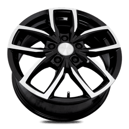 Image Vector Blk/Pol